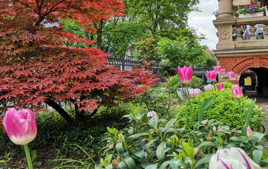 Santini_GartenMitBlumen_1110x700